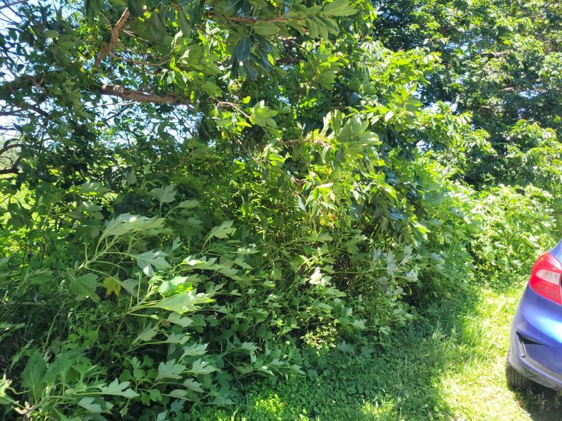 A Well Priced Vacant Stand - Photo 3