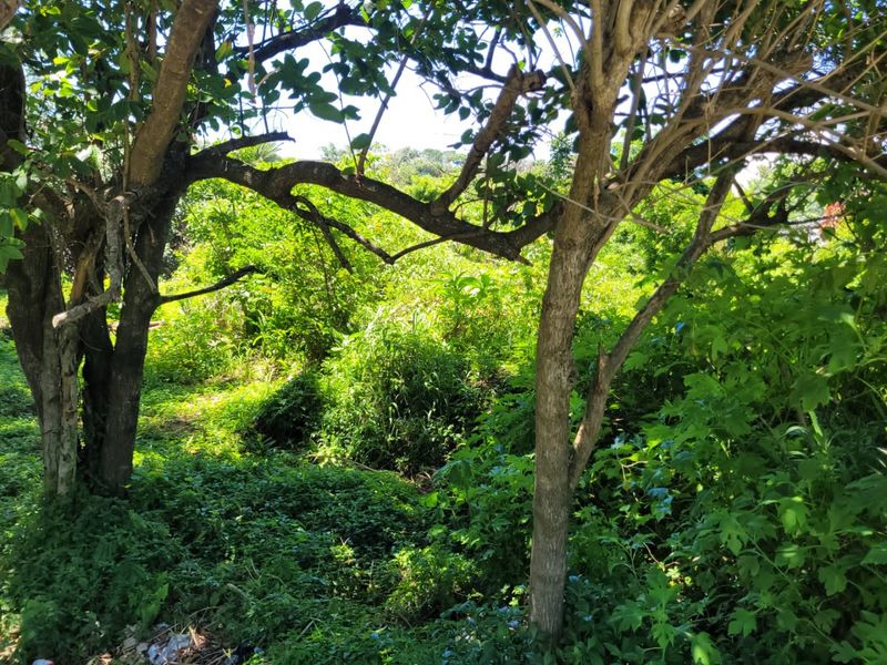 A Well Priced Vacant Stand - Photo 7