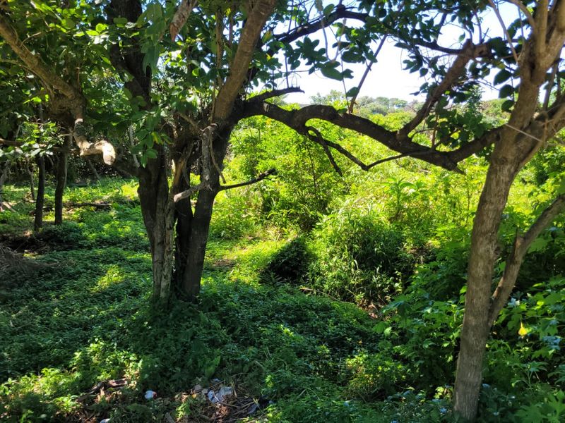 A Well Priced Vacant Stand - Photo 6