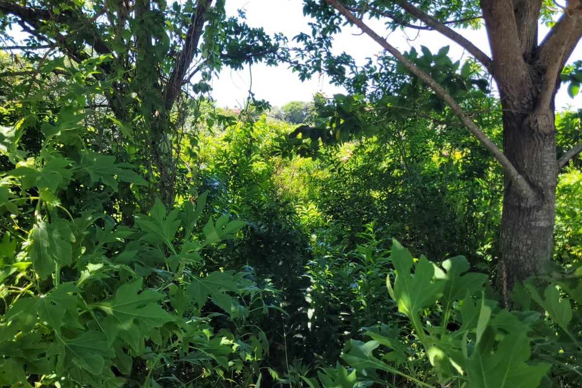 A Well Priced Vacant Stand - Photo 4