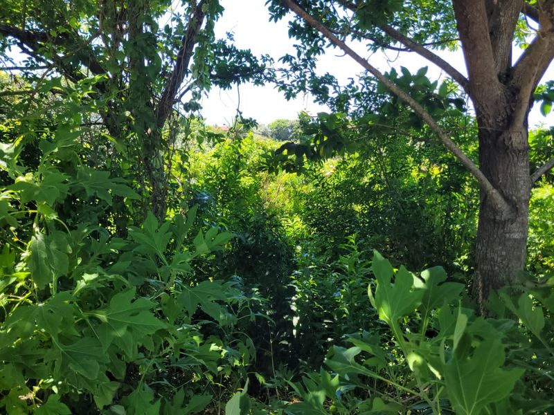 A Well Priced Vacant Stand - Photo 4