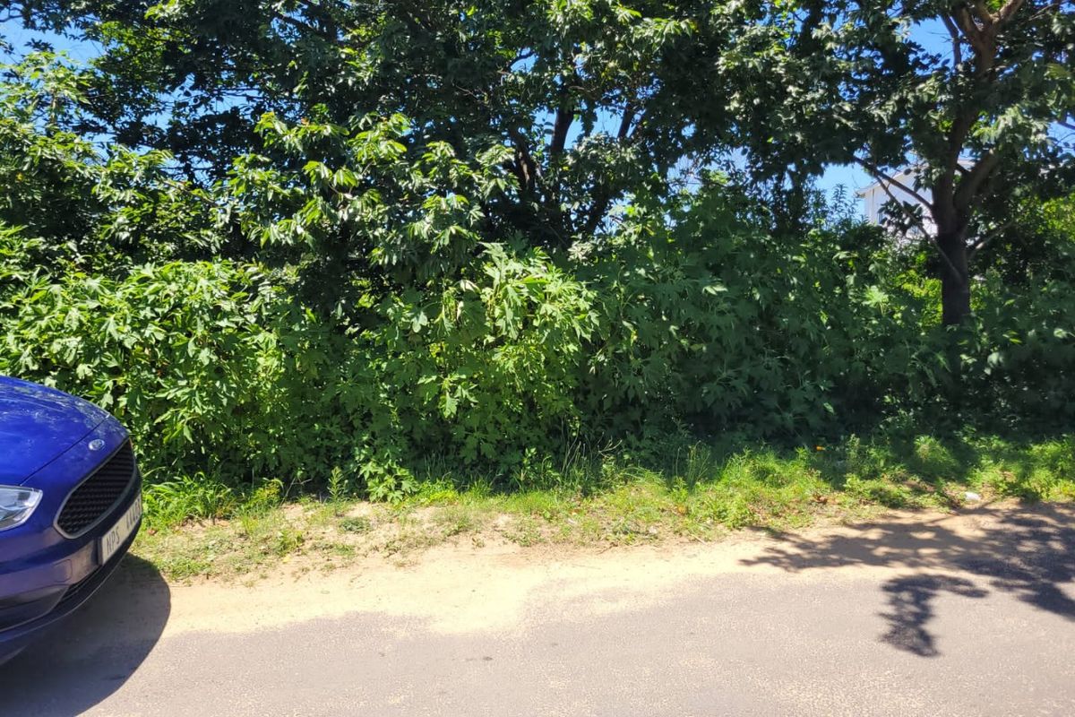 A Well Priced Vacant Stand - Photo 2