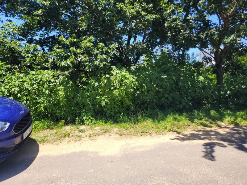 A Well Priced Vacant Stand - Photo 2