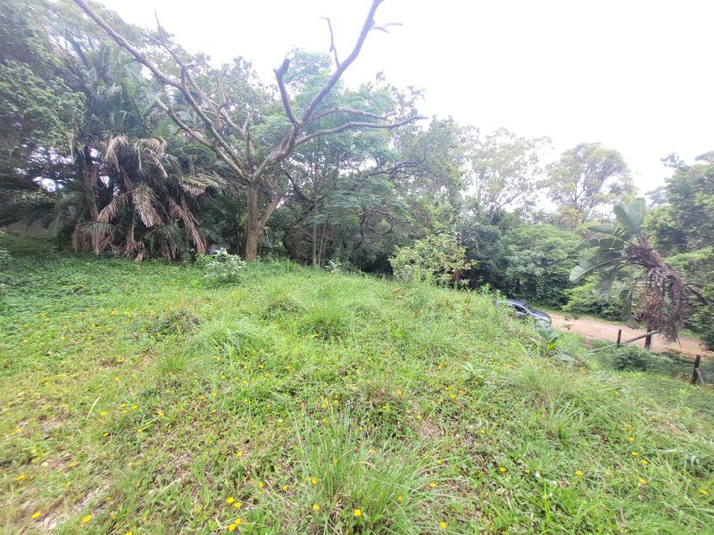 A view of a sloped, undeveloped residential plot featuring dense natural vegetation and mature trees.