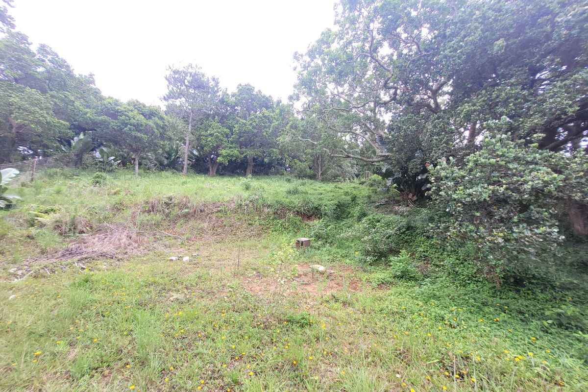A view of a sloped, undeveloped residential plot featuring established trees and natural vegetation.