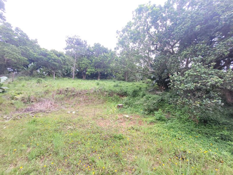 A view of a sloped, undeveloped residential plot featuring established trees and natural vegetation.