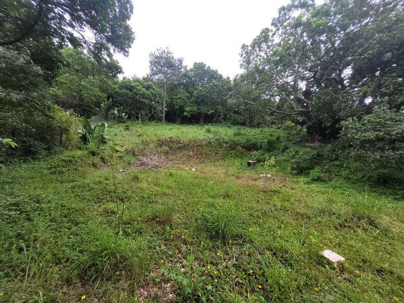 A sloped, undeveloped residential plot featuring established trees and natural vegetation, offering a private setting for future construction.