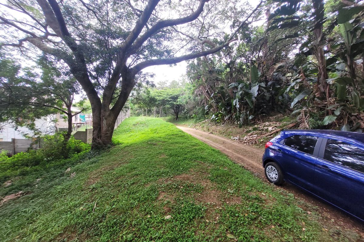 A view of a sloped, grassed residential plot featuring mature trees and a dirt access path.