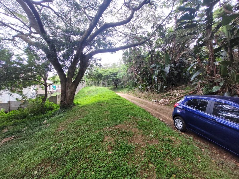 A view of a sloped, grassed residential plot featuring mature trees and a dirt access path.