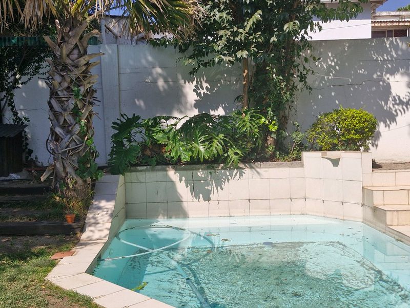 Outdoor pool area featuring a tiled swimming pool, retaining walls, and surrounding garden space in need of maintenance and refurbishment.