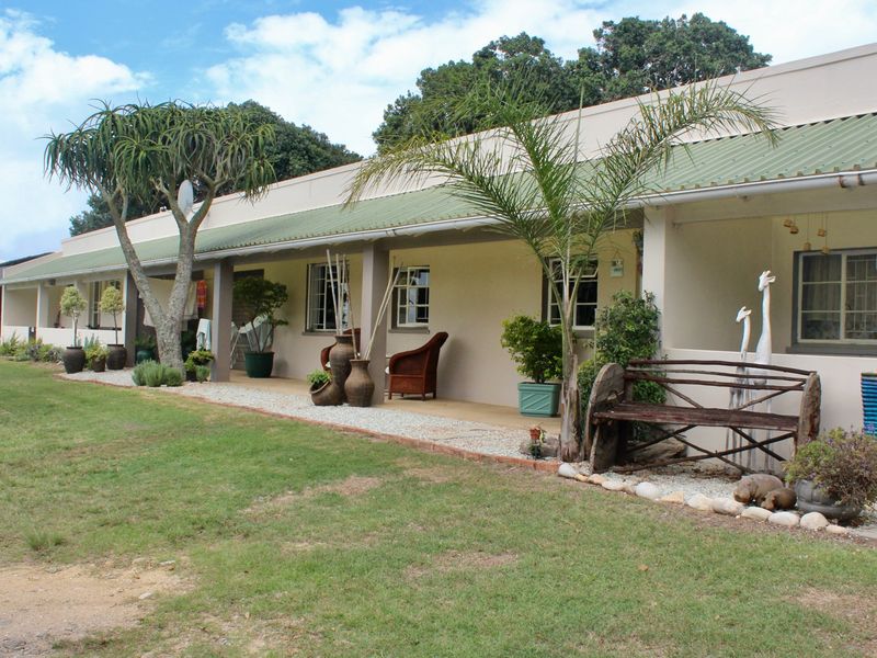 A well-maintained rear exterior view of the farm dwelling featuring a long covered patio, concrete pillars, and a green corrugated metal roof.