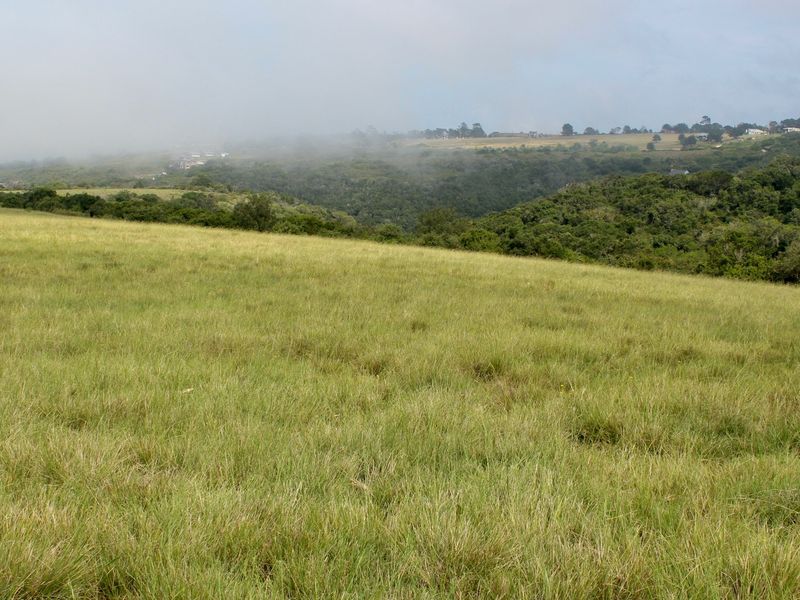 Expansive view of the farm's open pasture land and surrounding natural landscape under a misty sky.