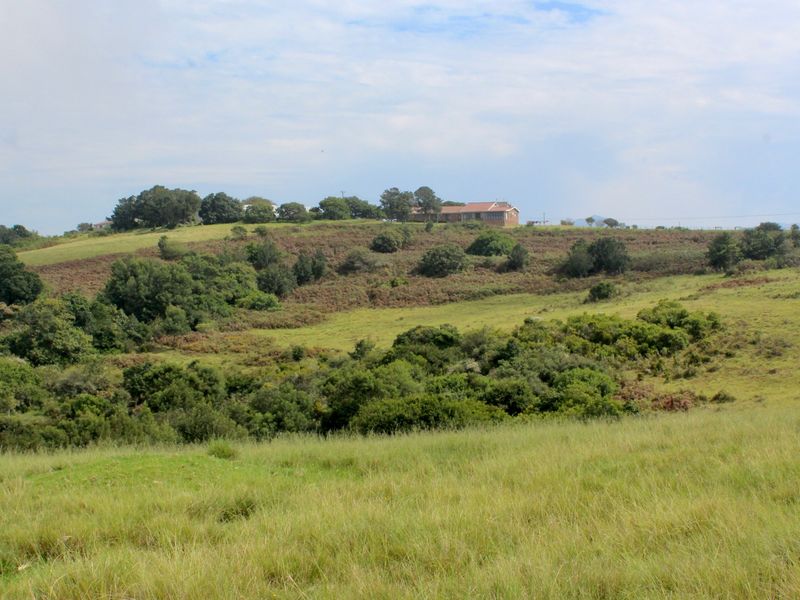 A scenic view of the expansive farm landscape featuring rolling hills, natural pasture, and indigenous vegetation with the main dwelling visible in the distance.