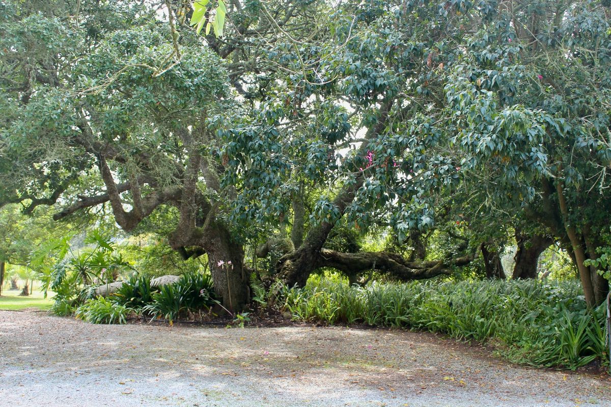 99 HECTARES LIFESTYLE FARM 15 MIN DRIVE from GEORGE IDENTIFIED as a “SPECIAL INVESTMENT AREA” - Photo 3