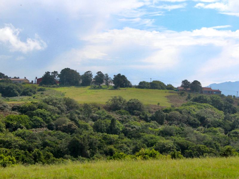99 HECTARES LIFESTYLE FARM 15 MIN DRIVE from GEORGE IDENTIFIED as a “SPECIAL INVESTMENT AREA” - Photo 10