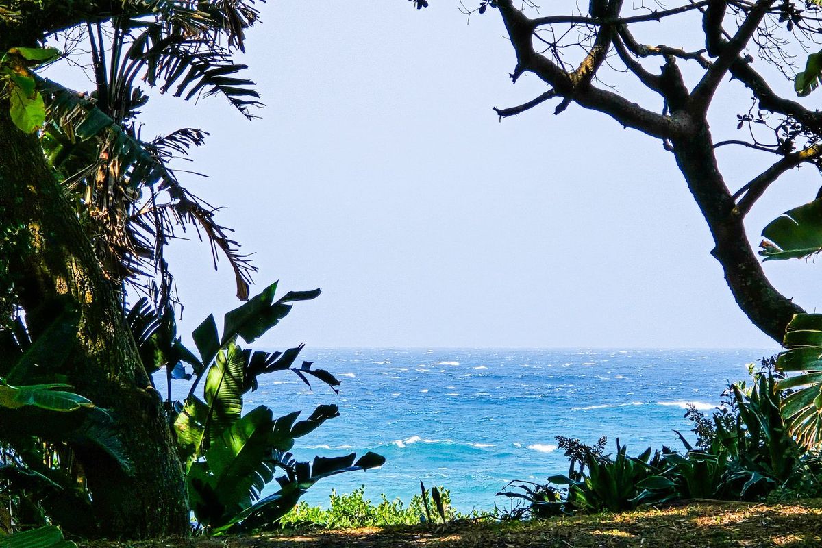 Right On The Beach - Self Catering Beachfront Units For Sale! - Photo 5