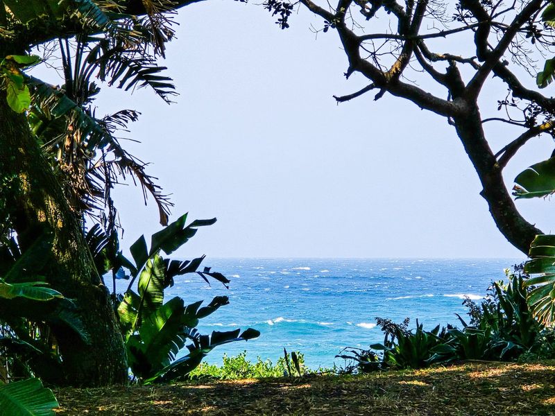 Right On The Beach - Self Catering Beachfront Units For Sale! - Photo 5