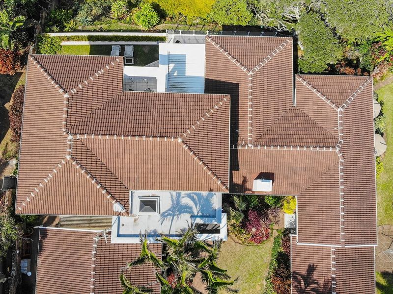 Beachfront Excellence!!!! - Photo 3