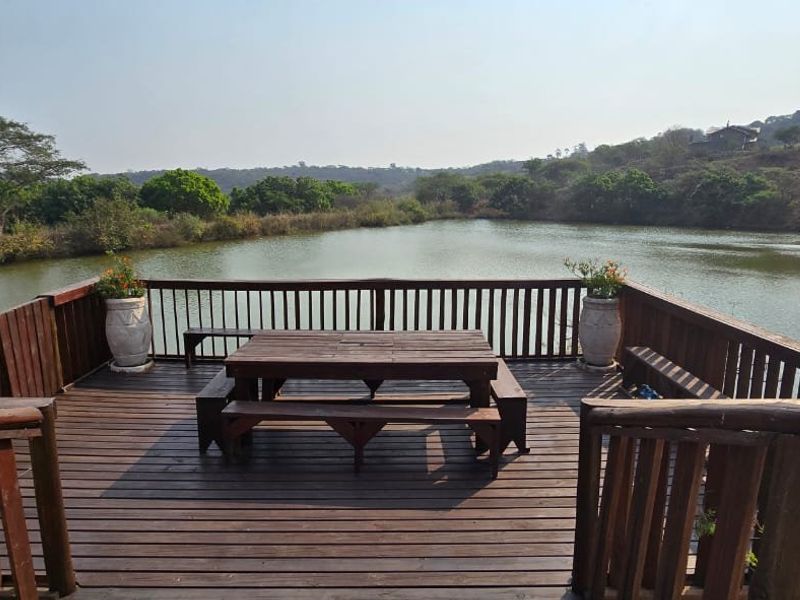 Stunning Family Hollywood Home On The Dam Off Grid - Photo 9