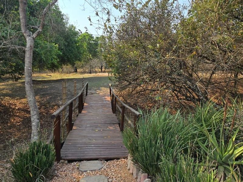 Stunning Family Hollywood Home On The Dam Off Grid - Photo 8