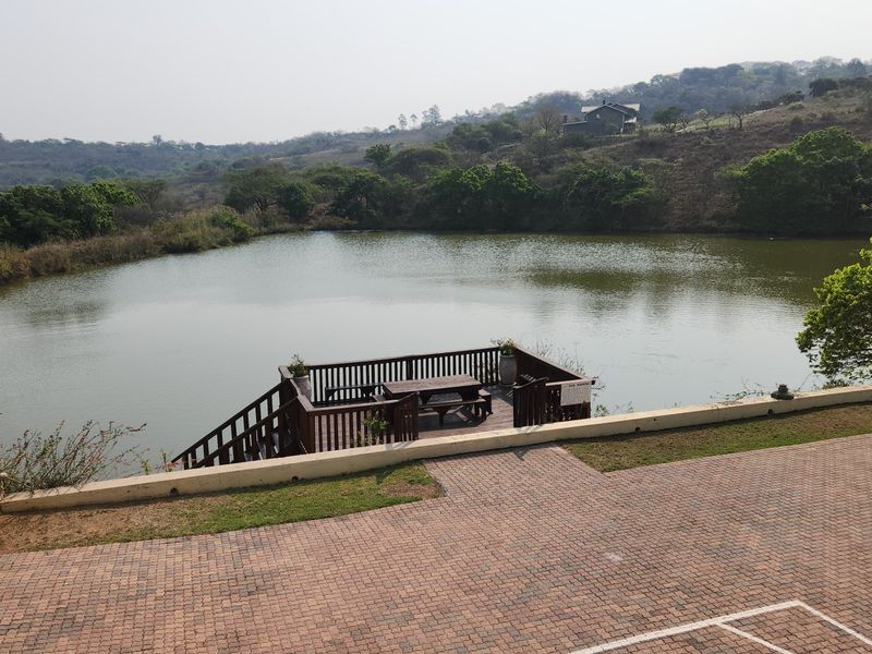 Stunning Family Hollywood Home On The Dam Off Grid - Photo 6