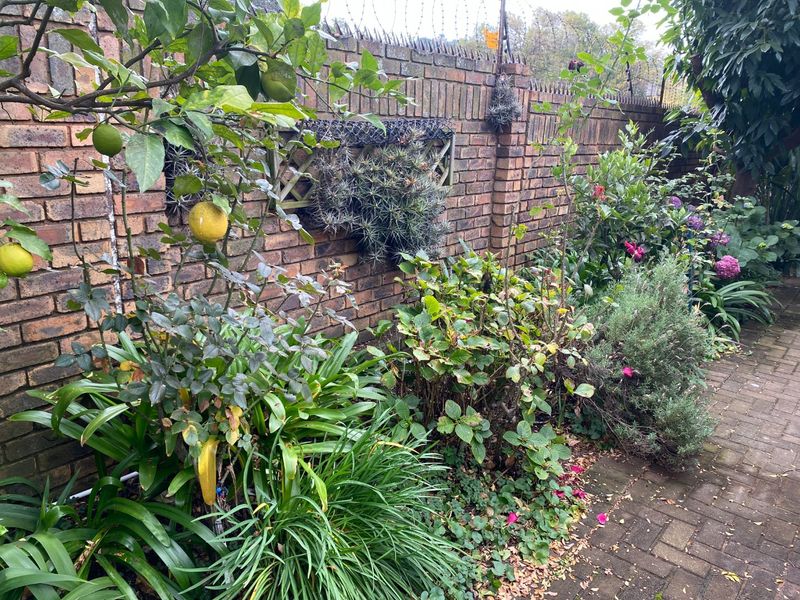 Retirement Village - Photo 8