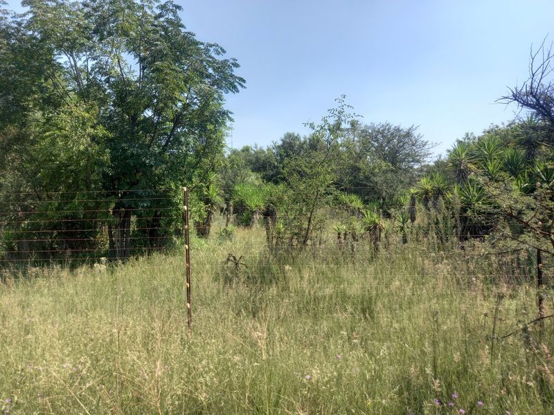 21 hectares farm with multiple dwellings and borehole and dam - Photo 8