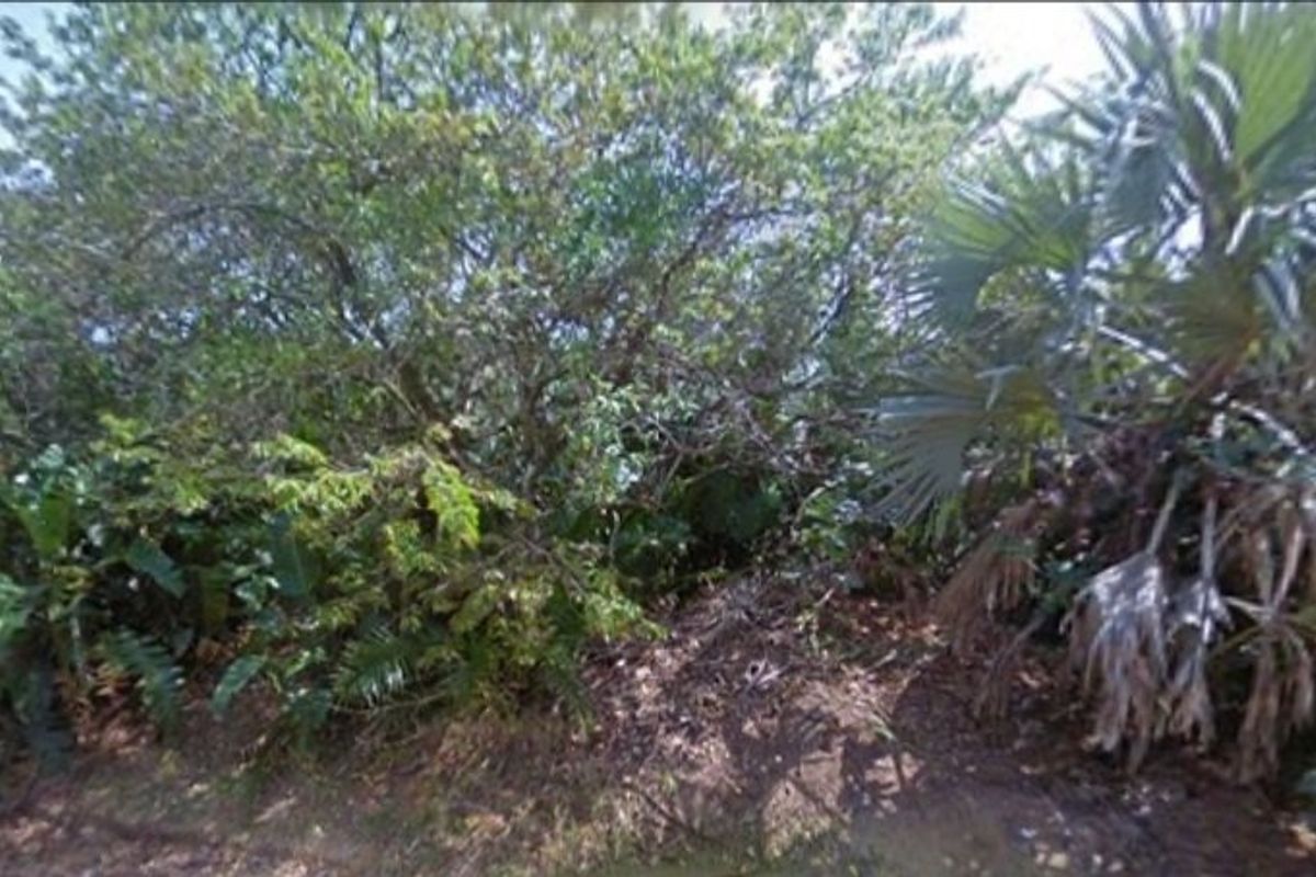 1189m2 Corner Stand For Sale - Photo 4