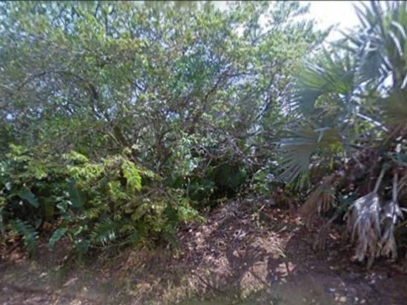 1189m2 Corner Stand For Sale - Photo 4