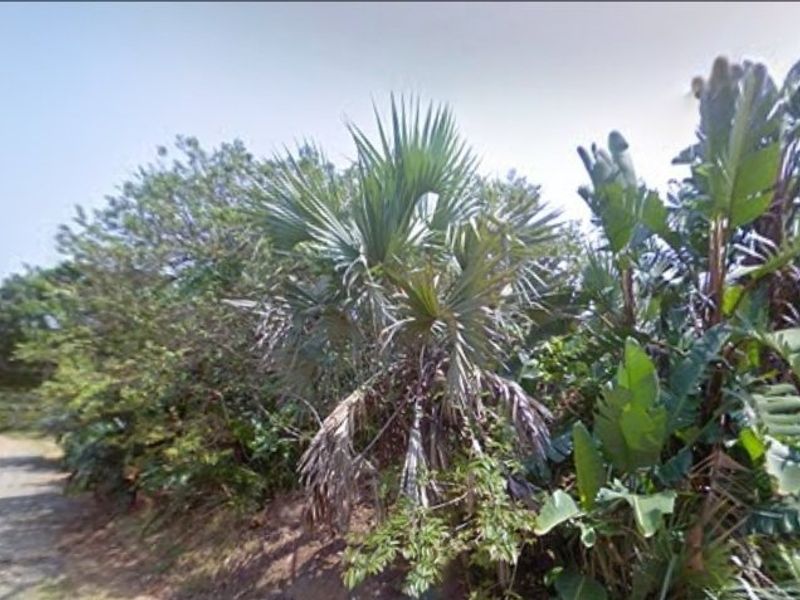 1189m2 Corner Stand For Sale - Photo 5