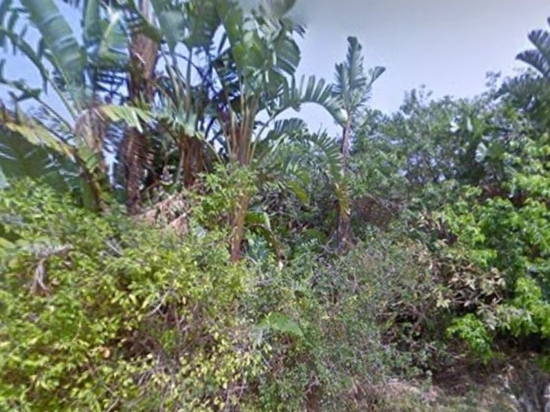 1189m2 Corner Stand For Sale - Photo 6