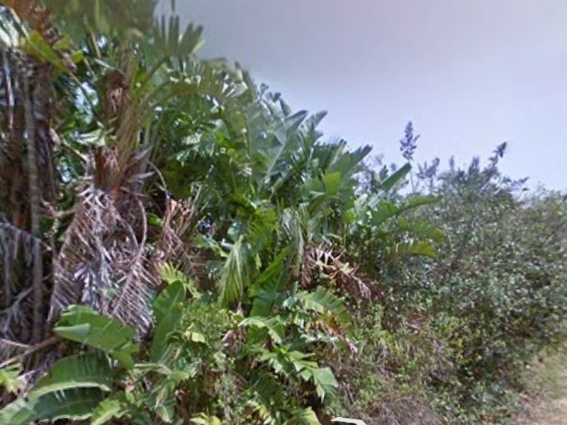 1189m2 Corner Stand For Sale - Photo 3