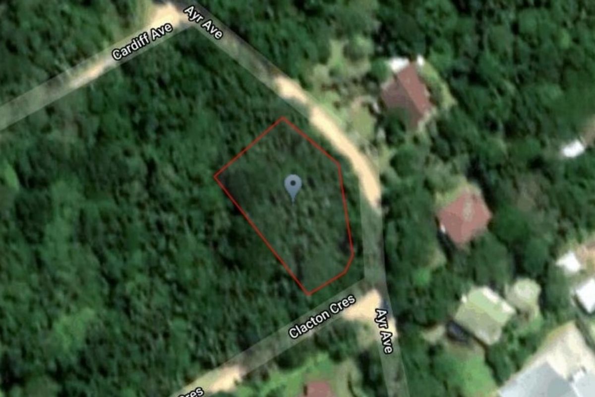 An aerial view showing the boundaries of a vacant residential plot surrounded by dense vegetation and local street access.