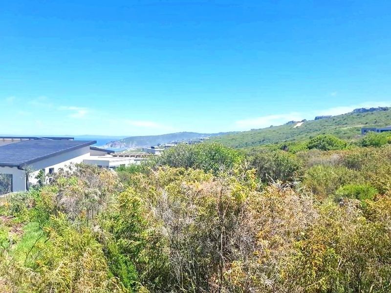 Ready to Buy land but not just any land? - Photo 4