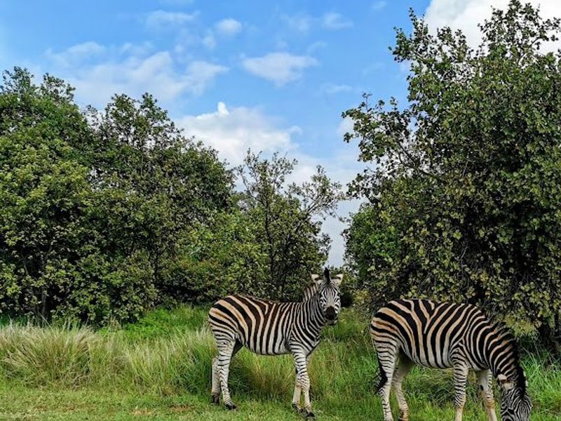 BUY THE BUILDING PACKAGE  WITH APPROVED PLANS R4850K  - Photo 8