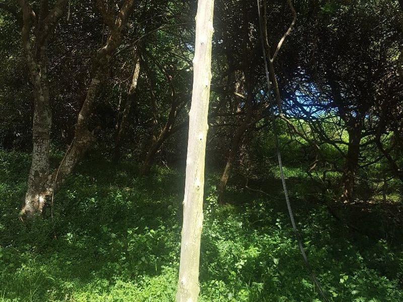 1964 m2 stand for Sale in Woodgrange, Hibberdene - Photo 5