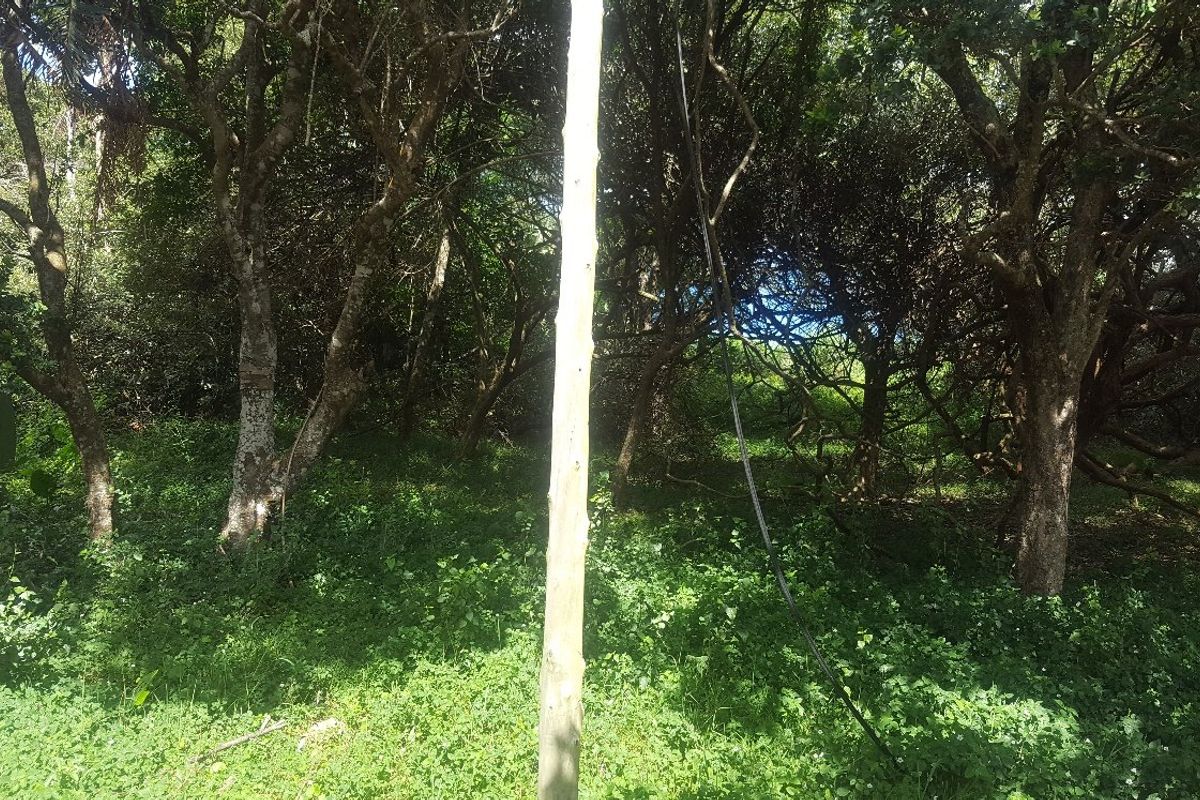 1964 m2 stand for Sale in Woodgrange, Hibberdene - Photo 3