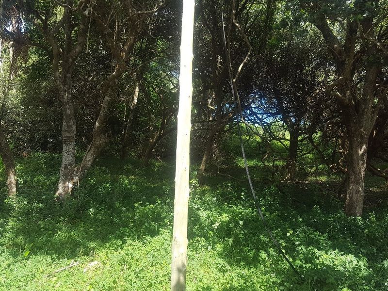 1964 m2 stand for Sale in Woodgrange, Hibberdene - Photo 3