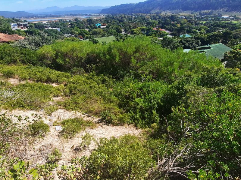 Lush well sized stand close to beaches and the village. - Photo 10