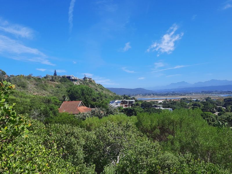 Lush well sized stand close to beaches and the village. - Photo 9