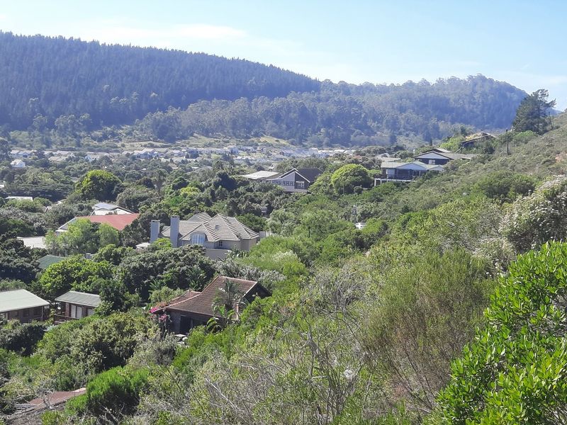 Lush well sized stand close to beaches and the village. - Photo 8