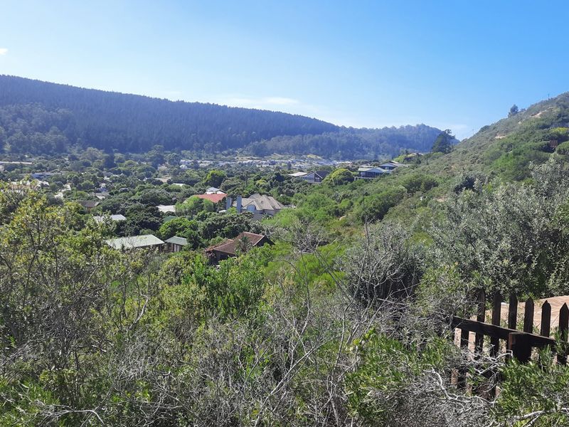 Lush well sized stand close to beaches and the village. - Photo 7