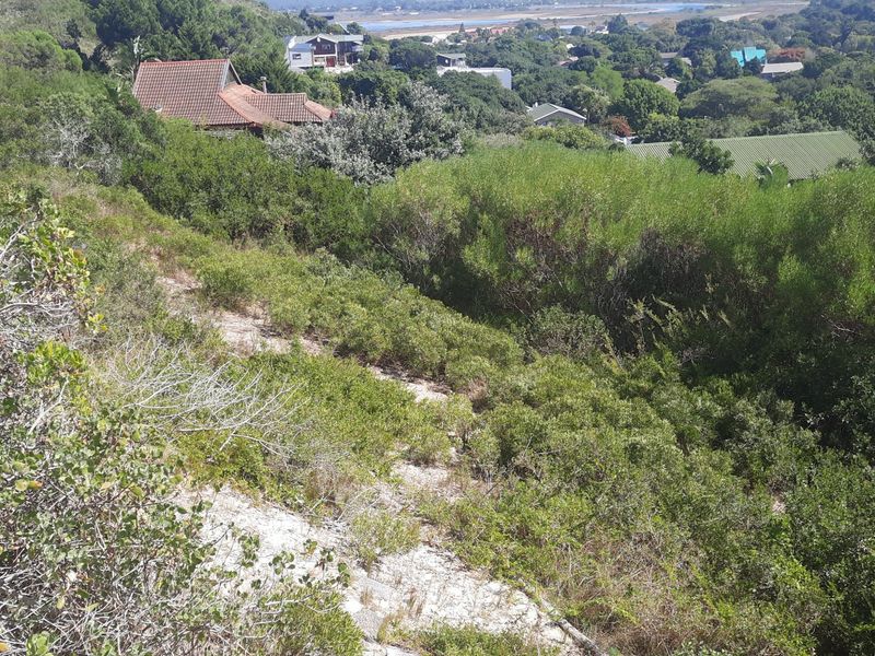 Lush well sized stand close to beaches and the village. - Photo 3