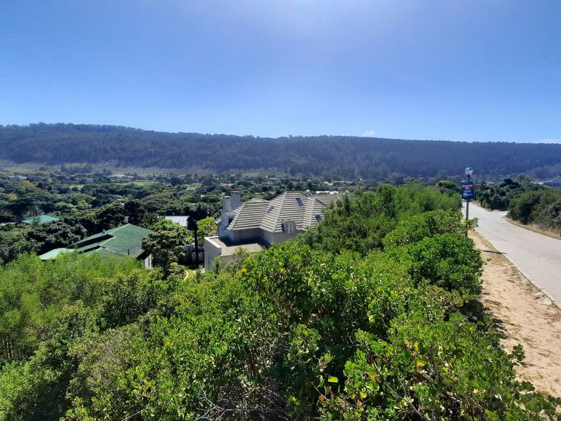 Lush well sized stand close to beaches and the village. - Photo 6