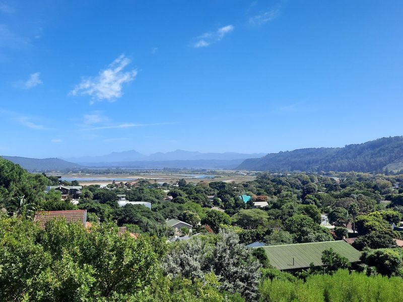 Lush well sized stand close to beaches and the village. - Photo 5