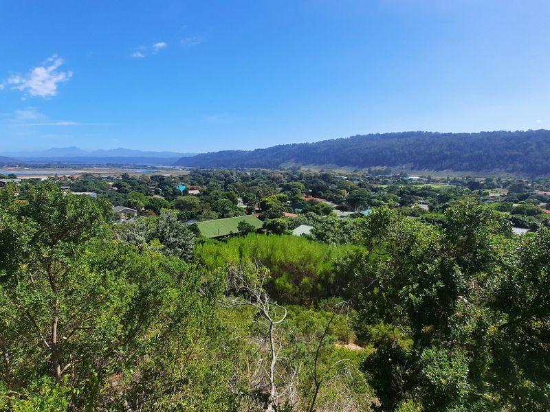 Lush well sized stand close to beaches and the village. - Photo 2