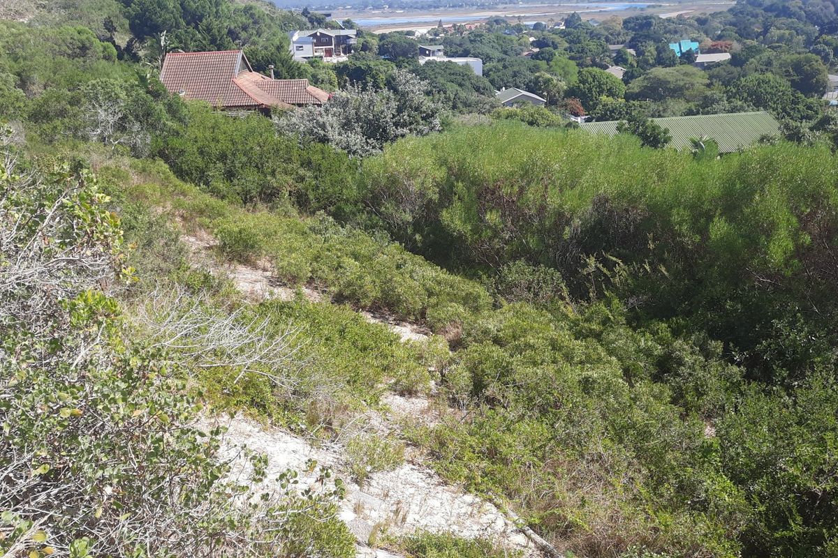 An elevated view of a sloped, undeveloped residential plot covered in native vegetation, overlooking the surrounding neighborhood and distant landscape.
