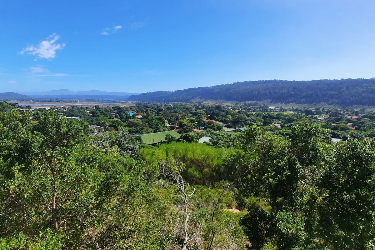 A scenic elevated view overlooking a lush green landscape, residential area, and distant mountains under a clear blue sky.