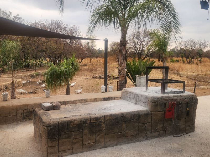 9ha Smallholding with Diverse Agricultural Operations : Pretoria  Doornpoort - Photo 7