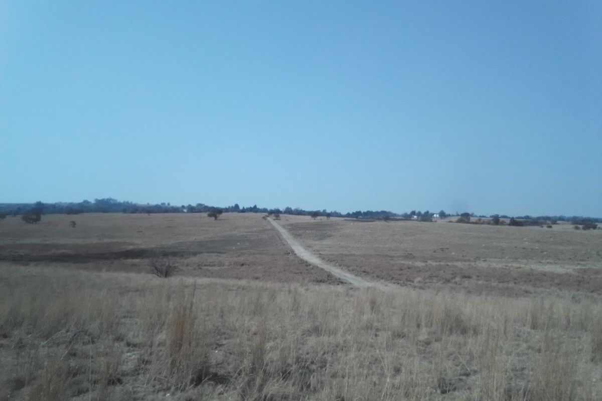 FORTY TWO HECTARES VACANT LAND PROPERTY FOR RENTAL - Photo 5